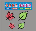 花朵叶子素材