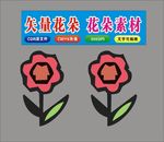 花朵美丽花瓣