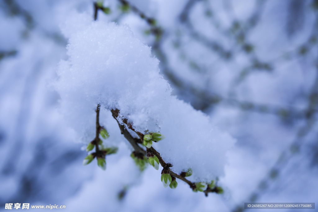 雪景