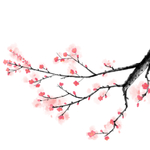 梅花