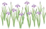 花纹