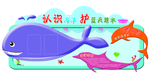 认识 保护 海洋