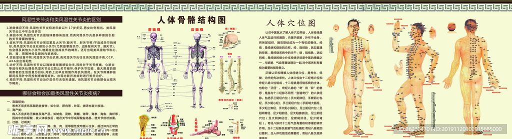 中医 关节 穴位 骨骼