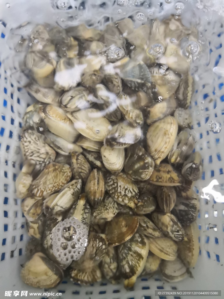 花甲
