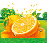 果粒橙