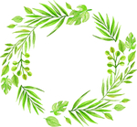 植物边框