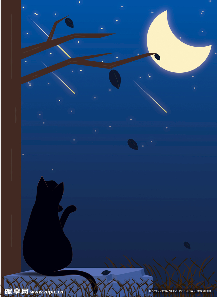 夜空猫插画