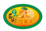 红美人 柑橘 水果商标