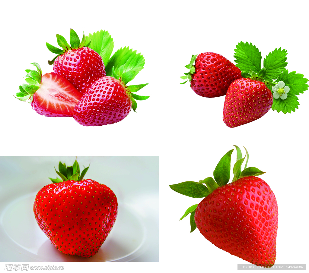 鲜草莓 草莓 奶油草莓 有机草