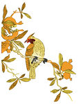 石榴花鸟