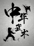 中华武术