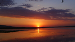 夕阳
