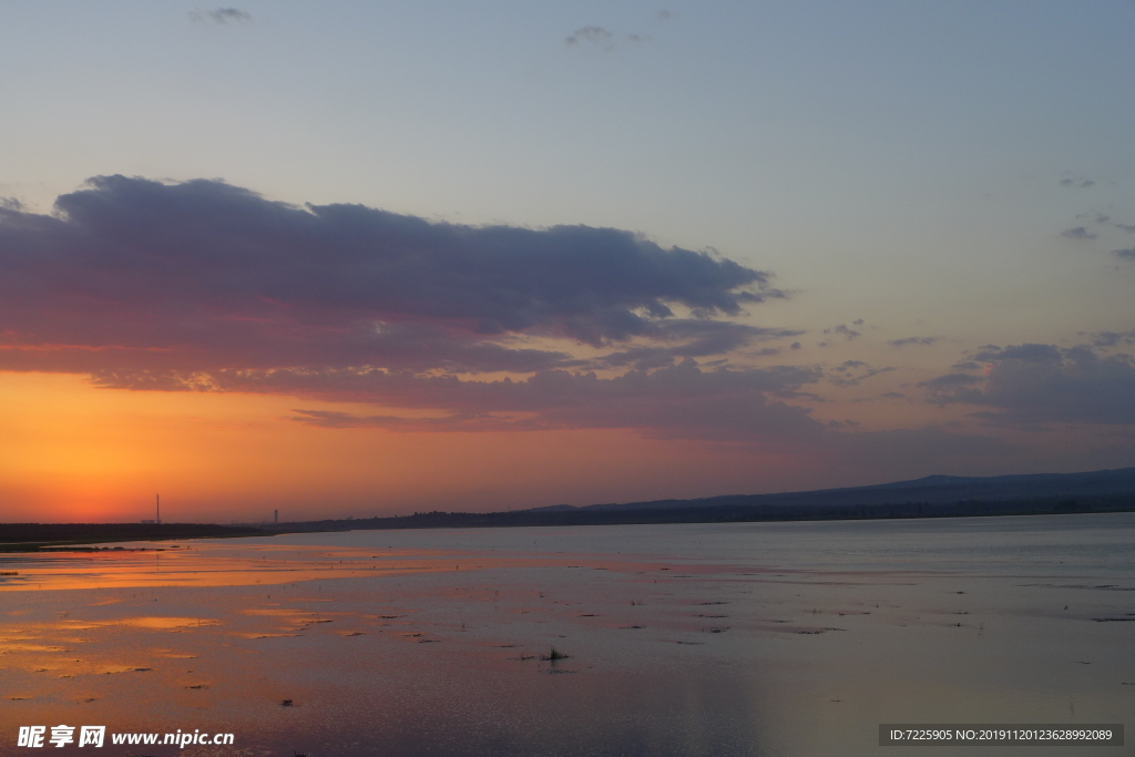 夕阳红