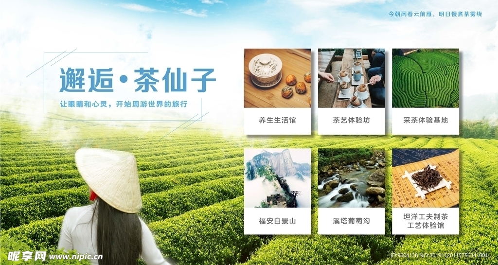 茶园