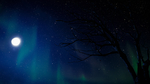 月夜星空枯树背景