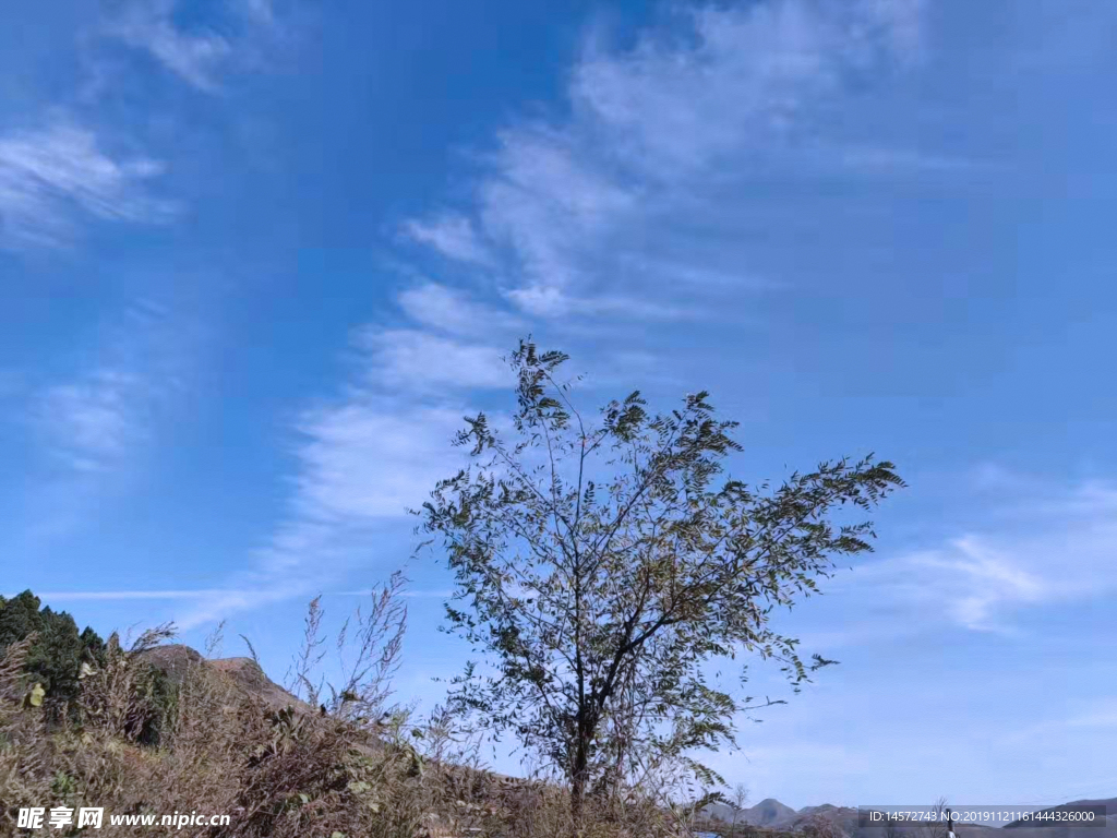 风景油画摄影图