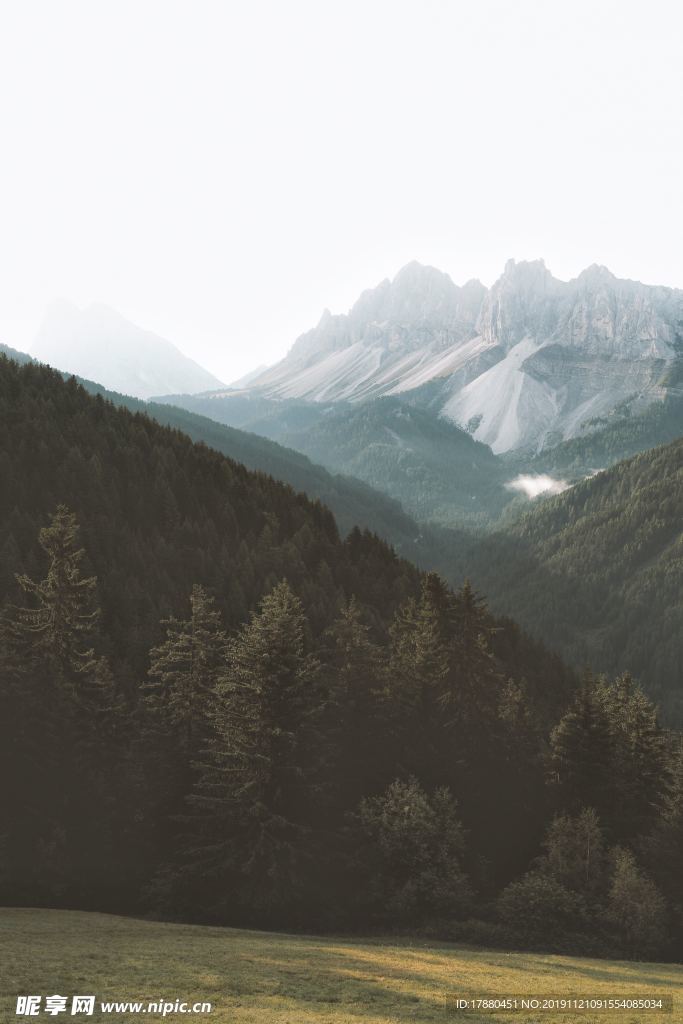 山林与山脉