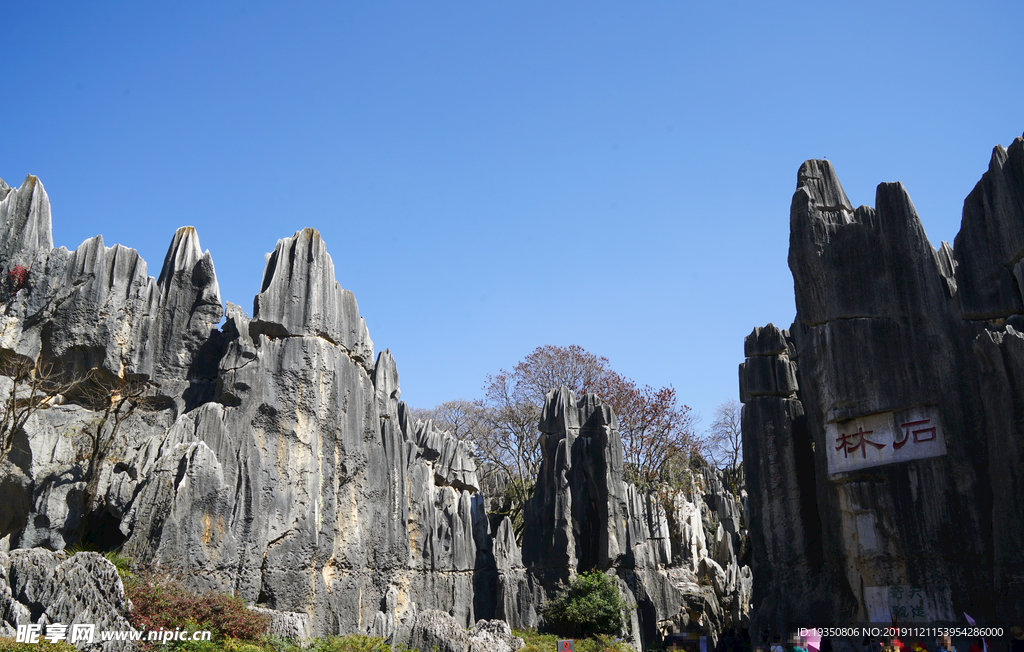 云南石林景区的风景