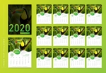 2020年日历