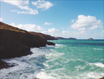海