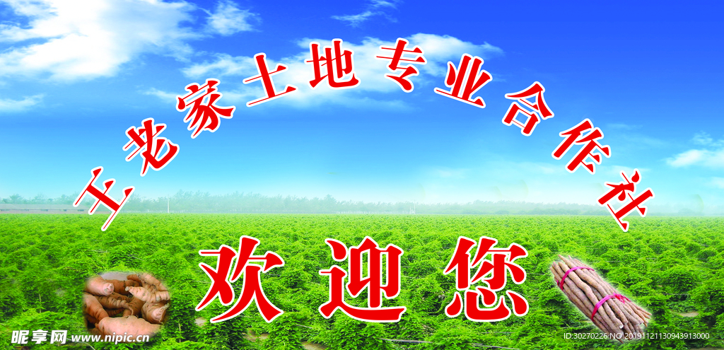 专业合作社