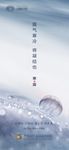 寒露 节气海报