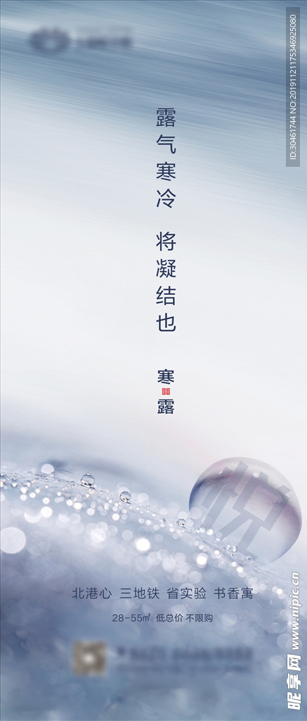 寒露 节气海报