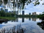 风景图
