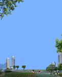 PSD前景图 前景树 分层素材