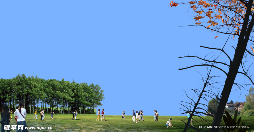 PSD前景图 前景树 分层素材
