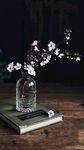 鲜花