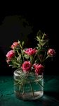 鲜花