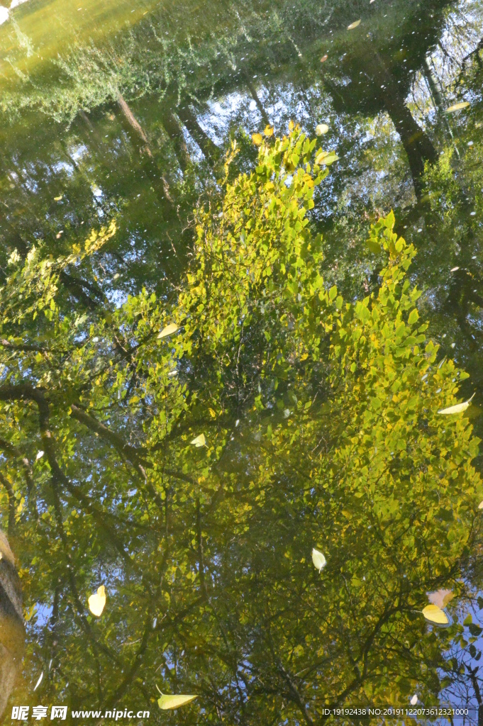 陶然亭风景