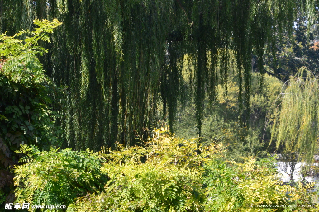 陶然亭风景