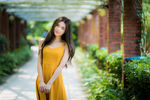 美女