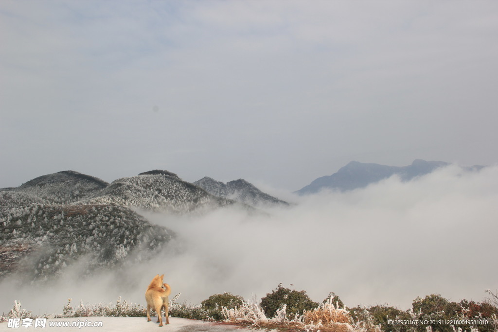 高山雪景