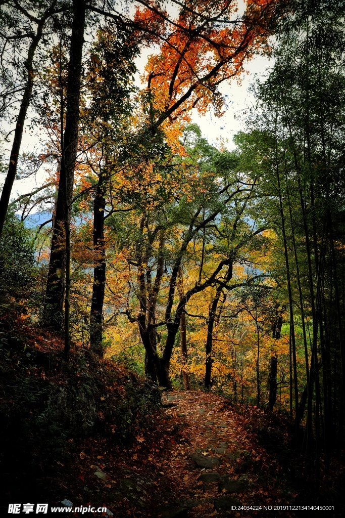 山间小路