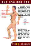 人体经络穴位心经
