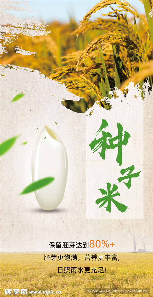 种子米海报