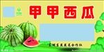 西瓜宣传展板