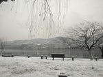 西湖十景 西湖美景 西湖雪景