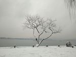 西湖十景 西湖美景 西湖雪景