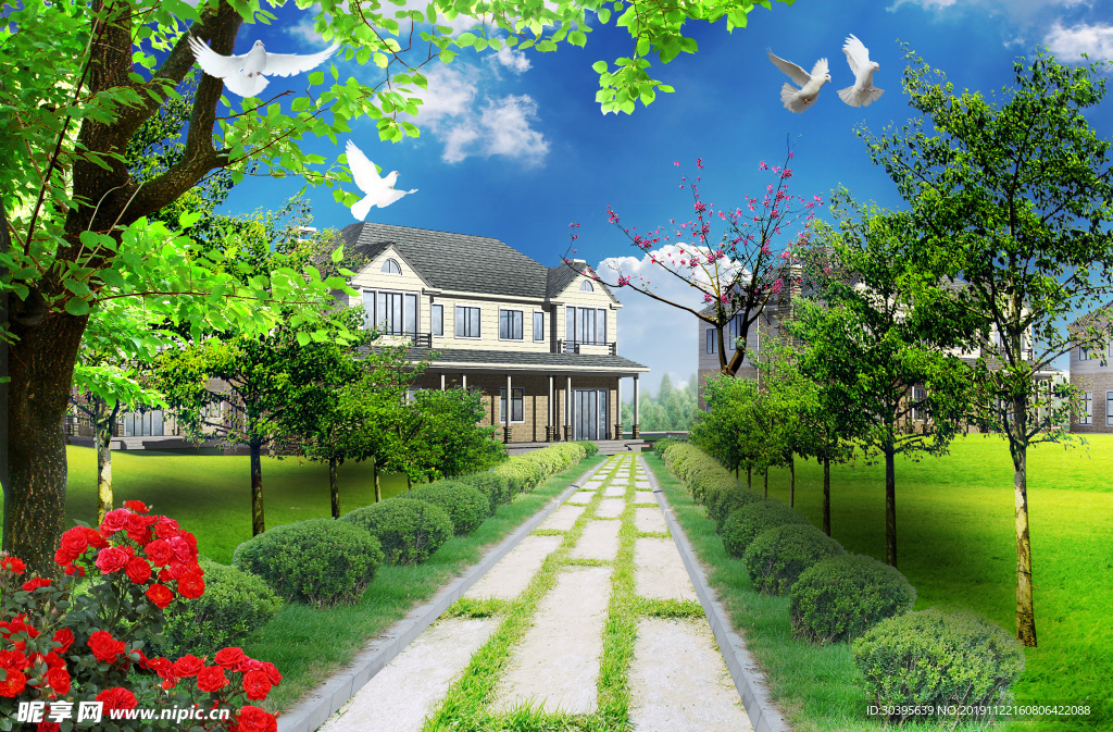 草坪