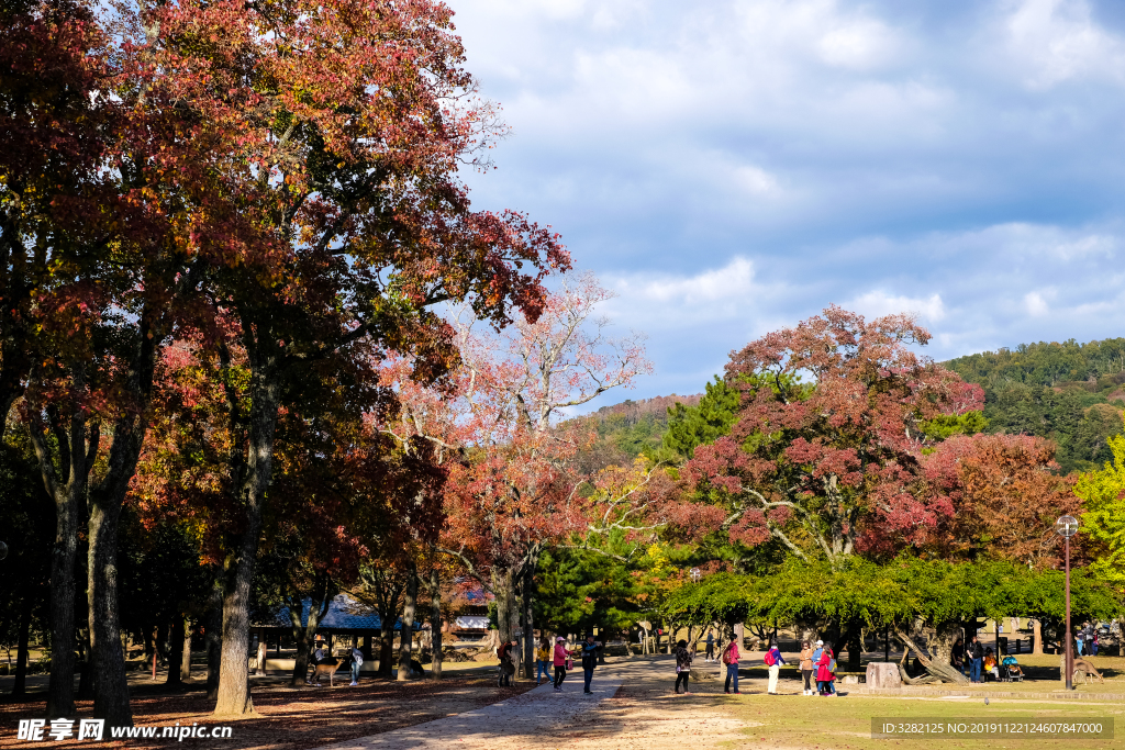 日本奈良公园秋景