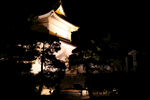 日本京都二条城角楼夜景