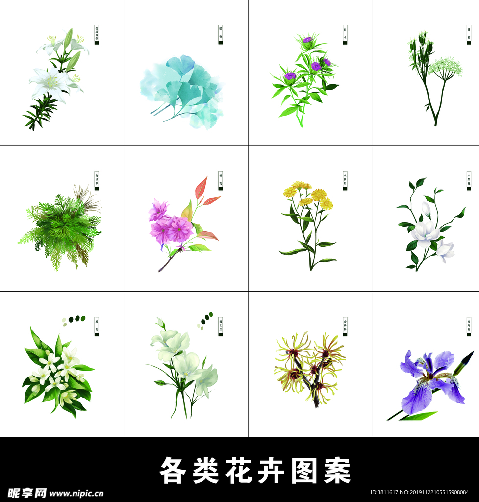 花卉图案