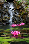 山水风光