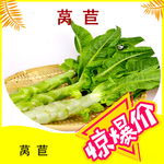 惊爆价莴苣