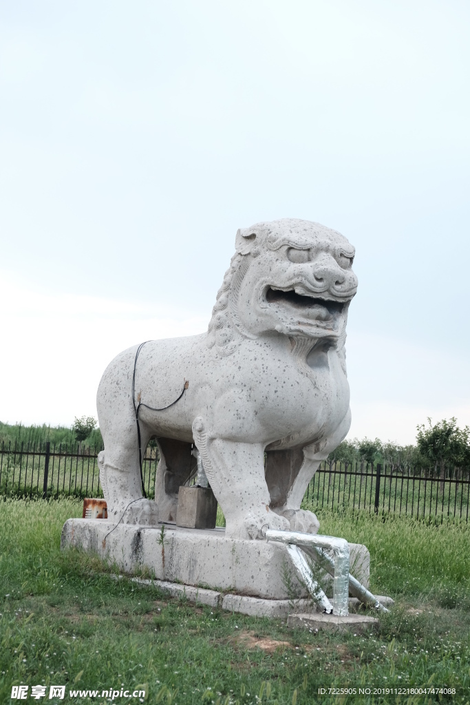 雄狮