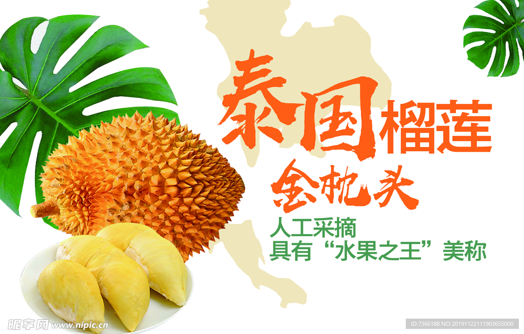 泰国金枕榴莲